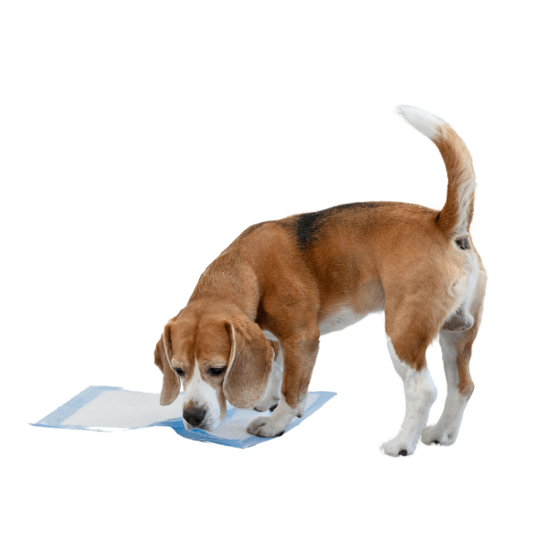 Пелени за постилане