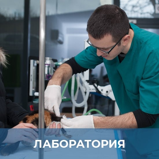 Лаборатория