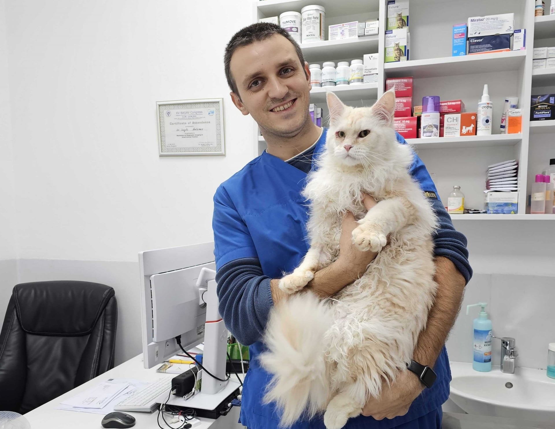 dr-antonov-and-albus-main-coon-cat