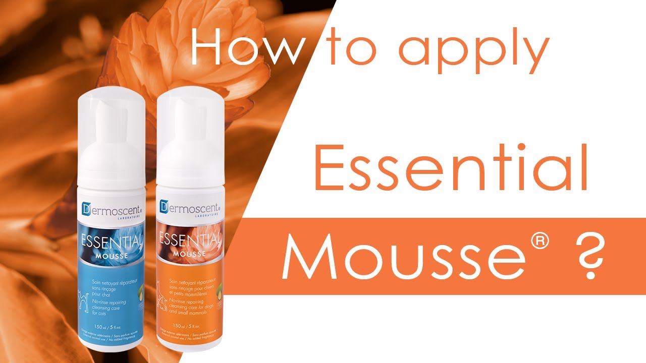 Dermoscent Essential mousse for cats – шампоан-пяна за сухо почистване, без изплакване за котки  150 мл