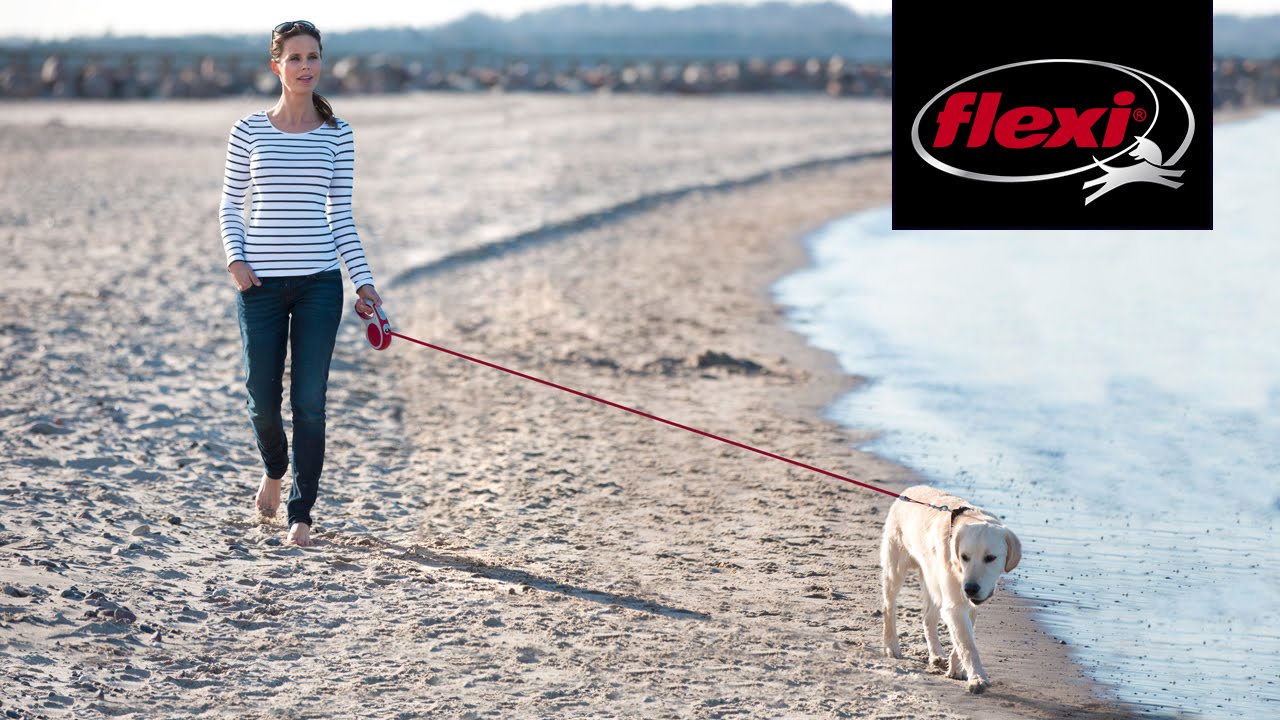 flexi Vario M комплект - въже + компенсиращ повод + LED лампа + Multi Box , автоматичен повод за куче, 5 метра до 20 кг