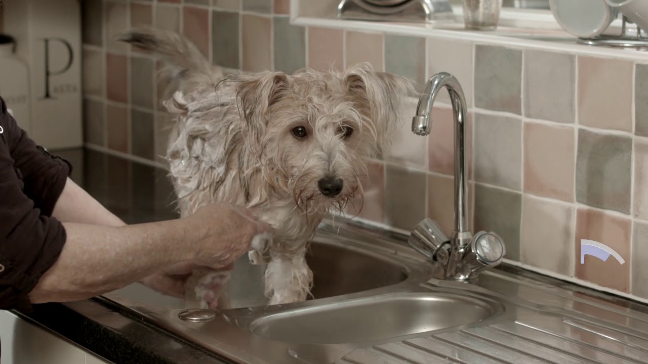 Ceva Douxo Pyo Shampoo шампоан за кучета и котки, с антибактериално и противогъбично действие, 200 мл