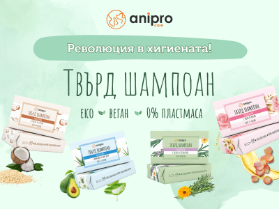 Еко еволюцията в хигиената - твърд шампоан за куче