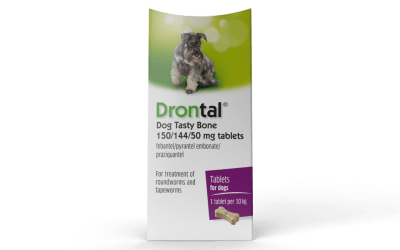 Drontal | Дронтал - овкусени таблетки за обезпаразитяване на кучета, цена за 1 таблетка, Брой