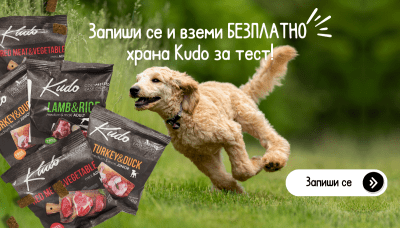 Безплатни мострени пакети от Kudo! 