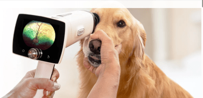 Нов високотехнологичен уред за очни прегледи в нашата клиника