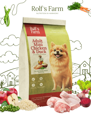 Rolf's Farm Adult Mini Chicken&Duck - храна за кучета от мини породи над 1 г., с пилешко и патешко