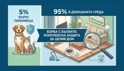 Как да защитим дома си от бълхи: Цялостен и ефективен подход