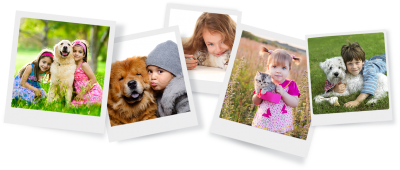 Вселената на Oasy &ndash; вкусно изкушение с прясно месо