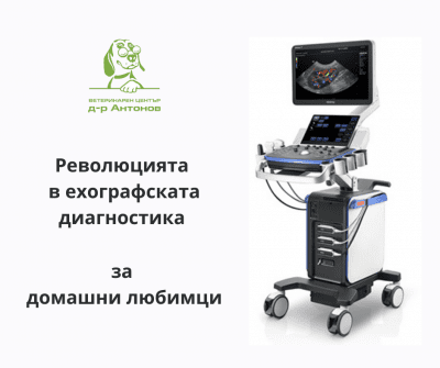 Революция в ехографската диагностика за домашни любимци