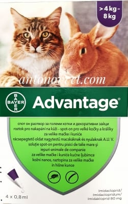 Bayer Advantage за котки oт 4 до 8 кг - цена за 1 пипета