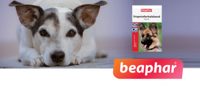 Противопаразитни каишки Beaphar &ndash; сигурно решение срещу бълхите