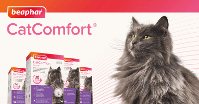 Beaphar Calming и Cat Comfort &ndash; краят на всяко безпокойство