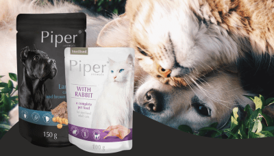π£ ΠΠ΅Π»ΠΈΠΊΠ΄Π΅Π½ΡΠΊΠΈ Giveaway Ρ Π½Π°Π³ΡΠ°Π΄ΠΈ ΠΎΡ Piper