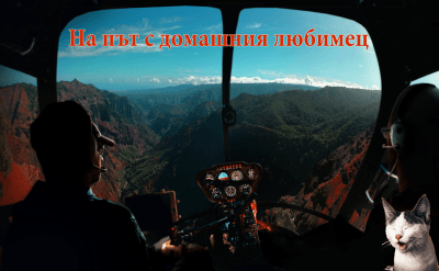 В ЕС с домашния любимец