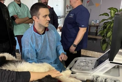 Д-р Антонов премина курс по ехокардиографията за по-добра грижа за сърцето на домашни любимци