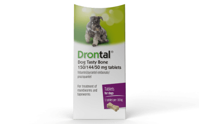Drontal | Дронтал - овкусени таблетки за обезпаразитяване на кучета, цена за 1 таблетка, Кутия 6
