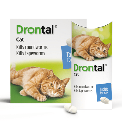 Drontal Cat | Дронтал - овкусени таблетки за вътрешно обезпаразитяване на котки, цена за 1 таблетка или кутия