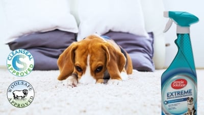 Simple Solution - тайната на чистия и приятно ароматизиран дом