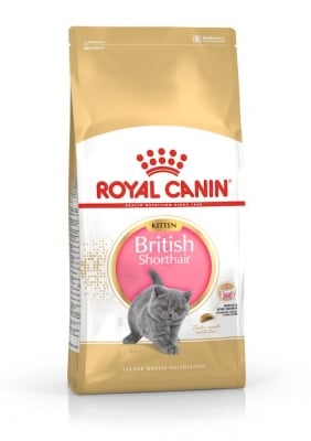 Royal Canin  British Shorthair Kitten- храна за британски късокосмести котенца до 12 месеца