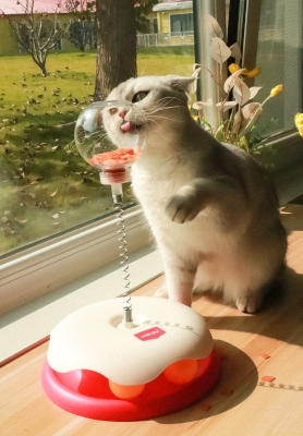 Wanpy играчка за котки
