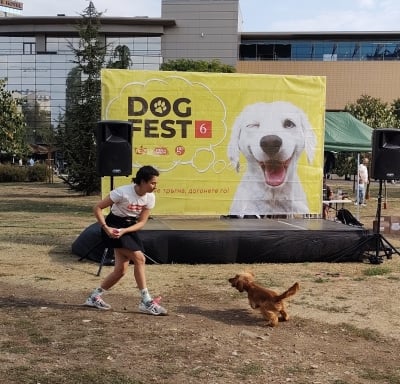 Дог Фест София - септември 2023, празник за кучета