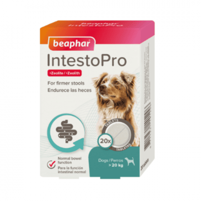 Пробиотици и храносмилане