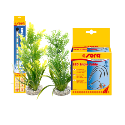 Оборудване и декорация