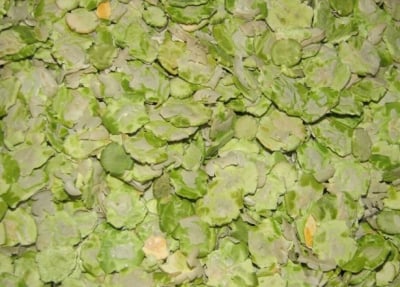 Pea Flakes - флейкс от грах за дребни животни, 10 кг