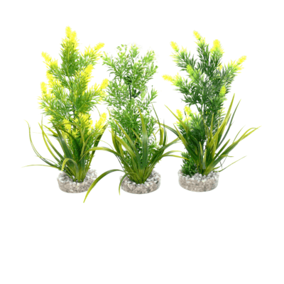 растения Sydeco