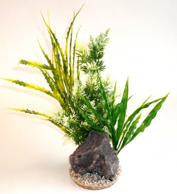 Растение Aquaplant Rock XL 32см от Sydeco, Франция