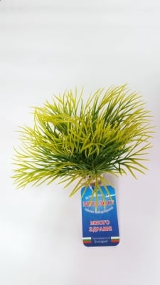 Растение Aquatic Grass 10см от Sydeco, Франция