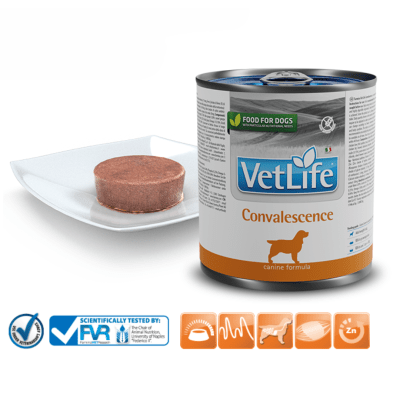 Vet Life Convalescence Canine - пълноценна лечебна храна за кучета за хранително възстановяване, реконвалесценция, 12x300 г