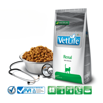 Vet Life Renal Feline - пълноценна лечебна храна за котки с бъбречна недостатъчност