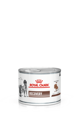 Royal Canin Recovery - лечебна консервирана храна за кучета и котки, за възстановяване след заболяване, 6х195 г