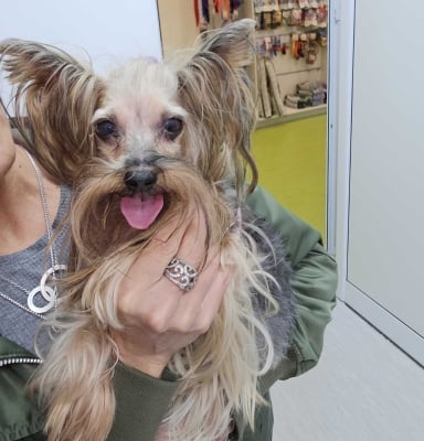 Как върнахме блясъка в очите на Жана: нейният път от мрака към светлината