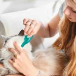 Beaphar Cat Spot On Repels Fleas капки против бълхи за котки и котенца над 12 седмици, 3 пипети в опаковка
