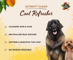 Pet Head Ultimutt Clean Coat Refresher – измиващ спрей за кучета (без отмиване), тропически аромат, 300 мл
