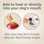 Beaphar Multi-Vitamin Paste Dog - мултивитаминна паста за кучета, за добро храносмилане и блестяща козина, 100 г