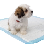 beaphar Puppy Trainer 20 мл - капки за приучване на малки кученца за ползване на пелени