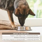 Beaphar Bone Builder – хранителна добавка за кучета и котки, с калций и фосфор, 500 г