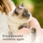 Beaphar Calming Bits успокояващи хапки за котки, 35 г