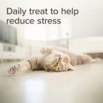 Beaphar Calming Bits успокояващи хапки за котки, 35 г