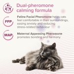 Beaphar CatComfort Excellence Diffuser - успокояващ дифузер с феромони за котки с двойно действие