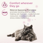 Beaphar CatComfort Calming Spot-On - успокояващи пипети с феромони за котки, 3 броя в опаковка