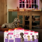 Beaphar  CaniComfort Calming Spot On - успокояващи пипети с феромони за кучета, 3 броя в опаковка