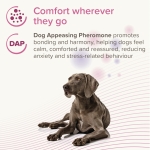 Beaphar  CaniComfort Calming Spot On - успокояващи пипети с феромони за кучета, 3 броя в опаковка