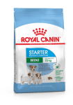 Royal Canin SHN Mini Starter - храна за бременни кучета и малки до 2 месеца от мини породи