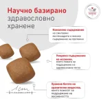 Royal Canin Diabetic/GLYCOBALANCE  - лечебна храна за кучета при диабет