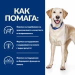 Hill's Prescription Diet Canine d/d - лечебна суха хипоалергенна храна за кучета, при хранителна алергии, с патица и ориз